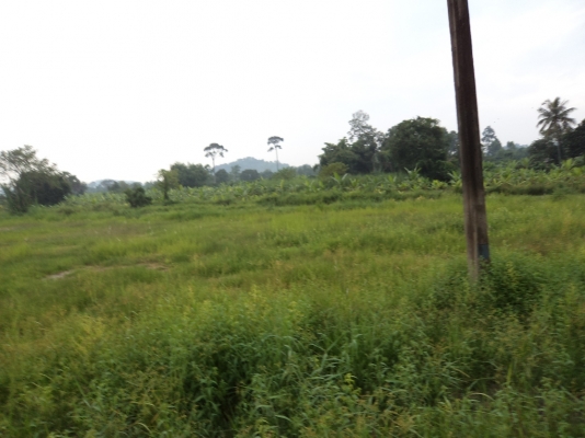 ขายที่ดิน 17 ไร่เศษที่ติดถนนหลักลาดยางใกล้แหล่งชุมชนไร่ละ 500000 บาท