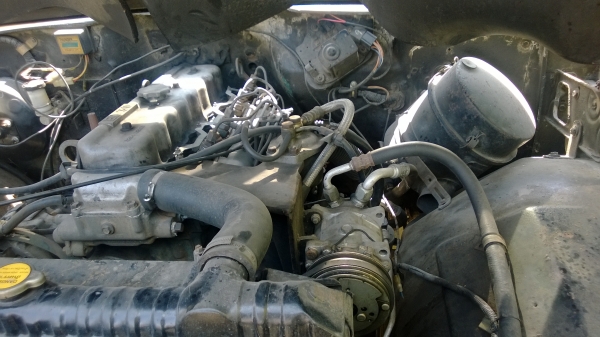 จี๊ปแวกกอเนีย