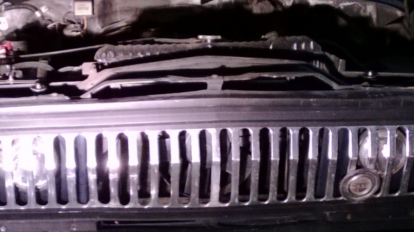 จี๊ปแวกกอเนีย