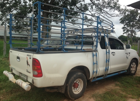 TOYOTA HILUX VIGO EXTRACAB  2.5 MT ปี 50 รถบ้านสวยจัดบางเดิมทั้งคัน ช่วงล่างติดตั้งเพลาลอยครบพร้อมใช้งาน กระบะมีคอกเหล็กสภาพสวย เครื่องแน่นแรงดี ภายในเก๋งคอนโซลสวยครบ พวงมาลัยเพาเวอร์ กระบะปูพื้นยางลายเนอร์อย่างสวย ยางสภาพดี 4 เส้นประมาณ 70\% พร้อมบรรทุ