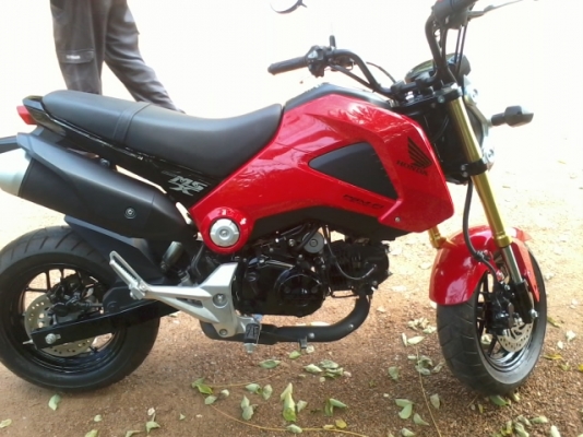 msx 125เดือนกุมภา56