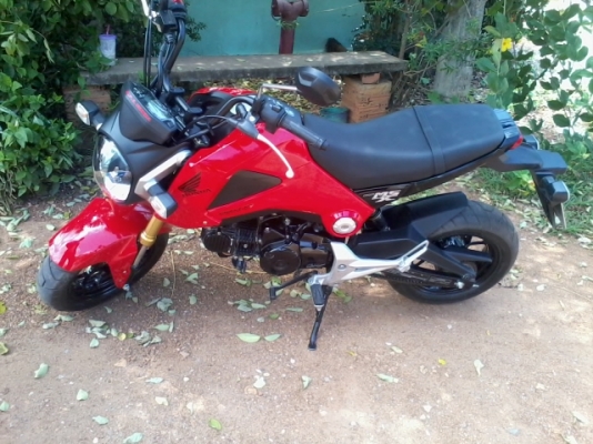 msx 125เดือนกุมภา56