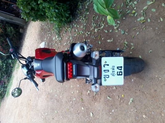 msx 125เดือนกุมภา56