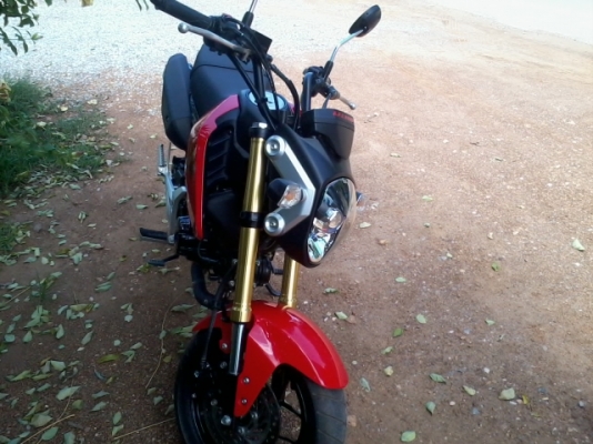 msx 125เดือนกุมภา56