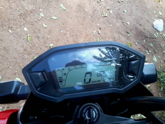 msx 125เดือนกุมภา56