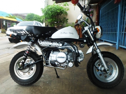 MINI STALLION125CC