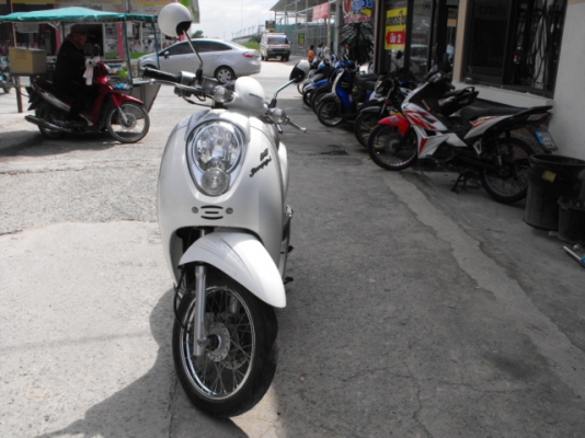 ขาย  Scoopy I ปลายปี 53 สภาพดี