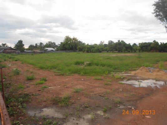 ขายที่ดิน ติดลาดยางสายหันคา-บ้านไร่ พร้อมสวนลำใย มีโกดังพร้อม มีไฟฟ้าแรงสูงผ่าน ระบบประปาพร้อม ที่สวยทำเลดี เหมาะแก่การลงทุน ราคาเบาๆ ไร่ละ300000 อยู่ที่ชัยนาท 40ไร่