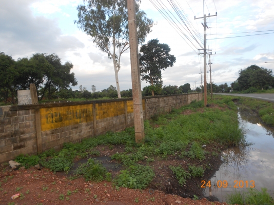 ขายที่ดิน ติดลาดยางสายหันคา-บ้านไร่ พร้อมสวนลำใย มีโกดังพร้อม มีไฟฟ้าแรงสูงผ่าน ระบบประปาพร้อม ที่สวยทำเลดี เหมาะแก่การลงทุน ราคาเบาๆ ไร่ละ300000 อยู่ที่ชัยนาท 40ไร่