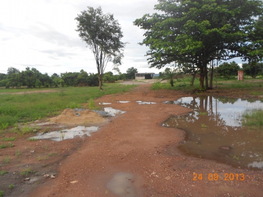 ขายที่ดิน ติดลาดยางสายหันคา-บ้านไร่ พร้อมสวนลำใย มีโกดังพร้อม มีไฟฟ้าแรงสูงผ่าน ระบบประปาพร้อม ที่สวยทำเลดี เหมาะแก่การลงทุน ราคาเบาๆ ไร่ละ300000 อยู่ที่ชัยนาท 40ไร่