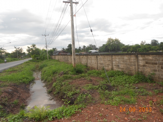 ขายที่ดิน ติดลาดยางสายหันคา-บ้านไร่ พร้อมสวนลำใย มีโกดังพร้อม มีไฟฟ้าแรงสูงผ่าน ระบบประปาพร้อม ที่สวยทำเลดี เหมาะแก่การลงทุน ราคาเบาๆ ไร่ละ300000 อยู่ที่ชัยนาท 40ไร่