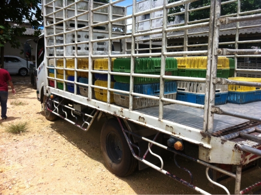 หกล้อรั้ว NMR 130 แรง จดทะเบียน51 พร้อมใช้