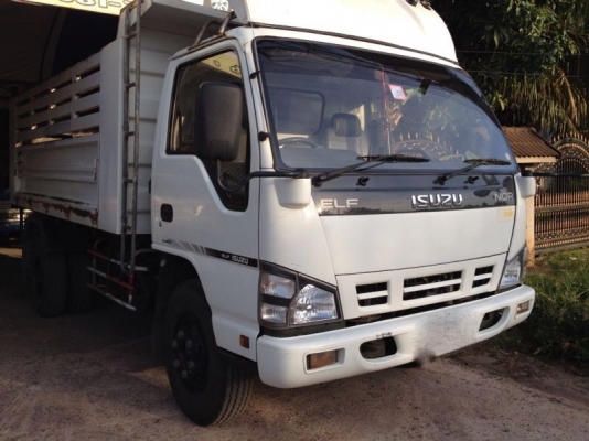 รถอีซูซุ 6 ล้อดั้ม NQR  150 แรงม้า ปี 51  สนใจติดต่อ 081 - 6079515