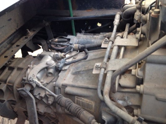 รถอีซูซุ 6 ล้อดั้ม NQR  150 แรงม้า ปี 51  สนใจติดต่อ 081 - 6079515