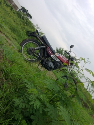 suzuki ts 185 suzuki ts 185