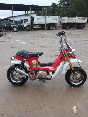 -ขาย ชาลี สภาพสวย รถประกอบใหม่