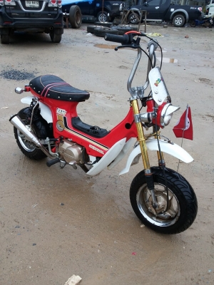 -ขาย ชาลี สภาพสวย รถประกอบใหม่