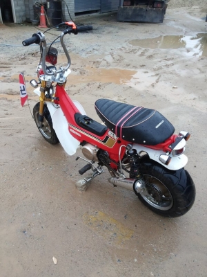 -ขาย ชาลี สภาพสวย รถประกอบใหม่