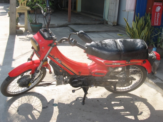 เบล80สีแดงมีเล่มพร้อมชุดโอน