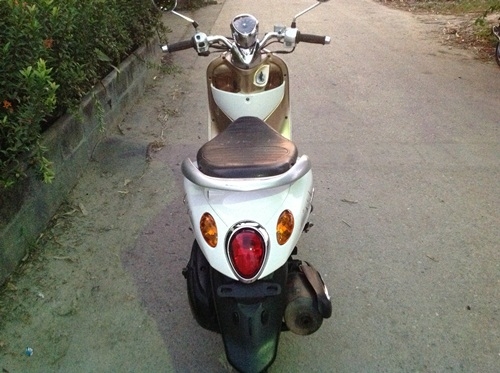 ขายjelato สีน้ำตาลปี2555 ขายjelato สีน้ำตาลปี2555