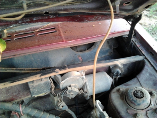 ขาย เก๋งคลาสสิค 5 ประตู NISSAN/DATSAN PULSAR 1.5 ปี26/83 เครื่องเบนซิน 1.5 เดิมๆ แห้งๆ วิ่งดี ประหยัด ช่วงล่างดี พื้นเก๋งมีผุนิดๆ ภายในดี  คอนโซลครบ แอร์ เบาะไม่ขาด สีตัวรถเก็บมานานแล้ว ตอนนี้สีแตก ยางดี ใช้งานได้ปกติ ระบบไฟใช้ได้หมด ขายตามสภาพ เปิดท้ายขา