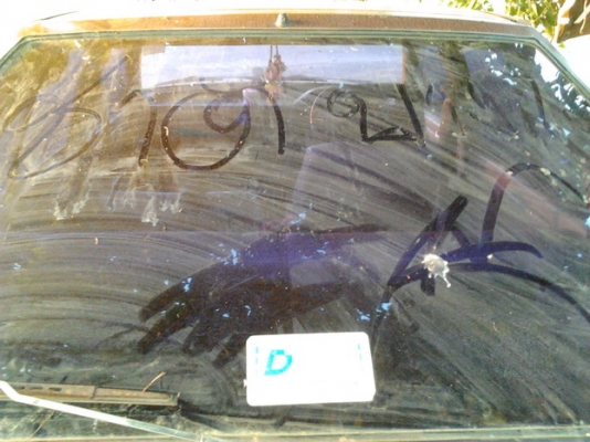 ขาย เก๋งคลาสสิค 5 ประตู NISSAN/DATSAN PULSAR 1.5 ปี26/83 เครื่องเบนซิน 1.5 เดิมๆ แห้งๆ วิ่งดี ประหยัด ช่วงล่างดี พื้นเก๋งมีผุนิดๆ ภายในดี  คอนโซลครบ แอร์ เบาะไม่ขาด สีตัวรถเก็บมานานแล้ว ตอนนี้สีแตก ยางดี ใช้งานได้ปกติ ระบบไฟใช้ได้หมด ขายตามสภาพ เปิดท้ายขา