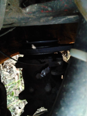 ขาย เก๋งคลาสสิค 5 ประตู NISSAN/DATSAN PULSAR 1.5 ปี26/83 เครื่องเบนซิน 1.5 เดิมๆ แห้งๆ วิ่งดี ประหยัด ช่วงล่างดี พื้นเก๋งมีผุนิดๆ ภายในดี  คอนโซลครบ แอร์ เบาะไม่ขาด สีตัวรถเก็บมานานแล้ว ตอนนี้สีแตก ยางดี ใช้งานได้ปกติ ระบบไฟใช้ได้หมด ขายตามสภาพ เปิดท้ายขา