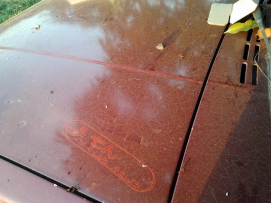 ขาย เก๋งคลาสสิค 5 ประตู NISSAN/DATSAN PULSAR 1.5 ปี26/83 เครื่องเบนซิน 1.5 เดิมๆ แห้งๆ วิ่งดี ประหยัด ช่วงล่างดี พื้นเก๋งมีผุนิดๆ ภายในดี  คอนโซลครบ แอร์ เบาะไม่ขาด สีตัวรถเก็บมานานแล้ว ตอนนี้สีแตก ยางดี ใช้งานได้ปกติ ระบบไฟใช้ได้หมด ขายตามสภาพ เปิดท้ายขา