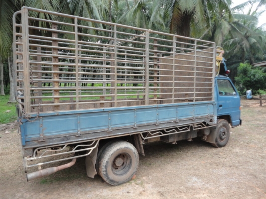 6 ล้อ ISUZU 115 แรง เครื่อง 4BD1 ขายกลางอากาศจากคุณกบ สระแก้ว