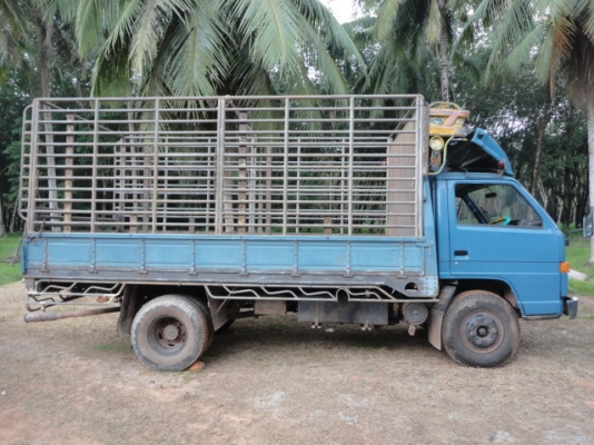 6 ล้อ ISUZU 115 แรง เครื่อง 4BD1 ขายกลางอากาศจากคุณกบ สระแก้ว