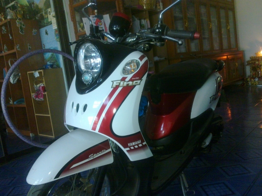 ขาย ฟีโน่ สภาพดี พร้อมใช้ เครื่องเดิมๆ ชุดสีสวย ใช้งานได้ทุกระบบ ขาย ฟีโน่ สภาพดี พร้อมใช้ เครื่องเดิมๆ ชุดสีสวย ใช้งานได้ทุกระบบ