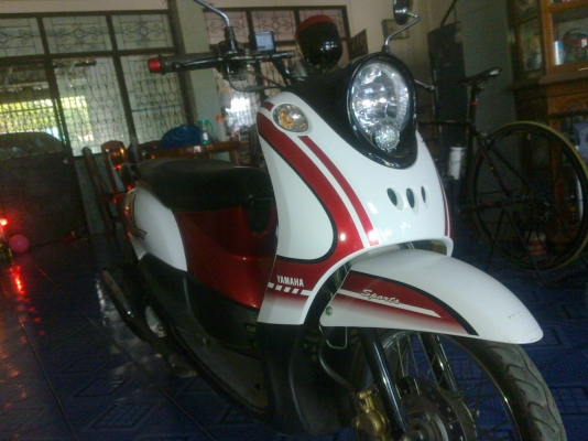 ขาย ฟีโน่ สภาพดี พร้อมใช้ เครื่องเดิมๆ ชุดสีสวย ใช้งานได้ทุกระบบ ขาย ฟีโน่ สภาพดี พร้อมใช้ เครื่องเดิมๆ ชุดสีสวย ใช้งานได้ทุกระบบ