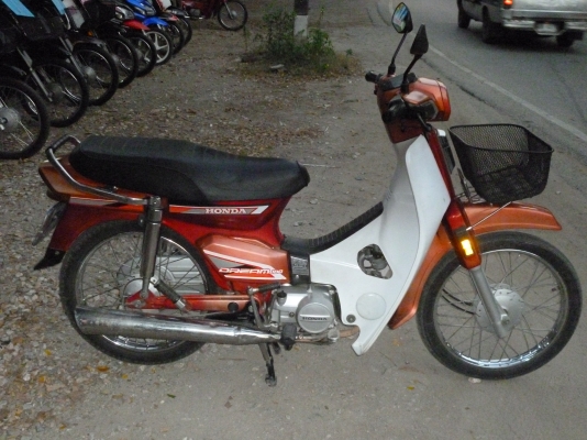 ดรีมคุรุสภา สี แดง-ขาว