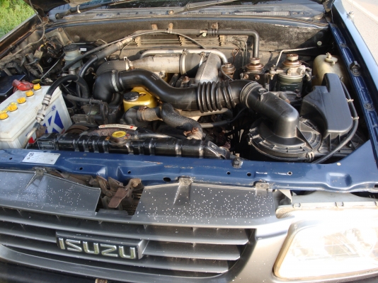 ขายดราก้อนอายปี2000