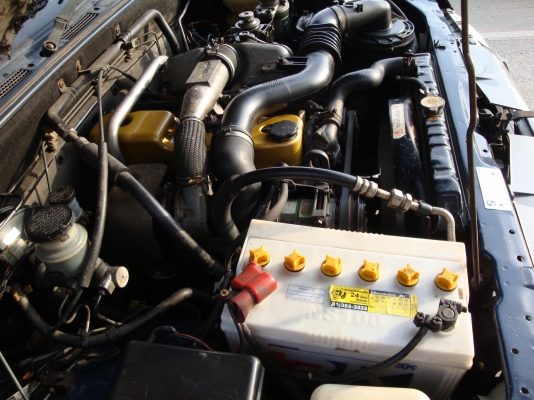 ขายดราก้อนอายปี2000