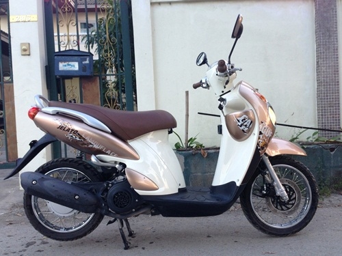 ขายjelato สีน้ำตาลปี2555 ขายjelato สีน้ำตาลปี2555