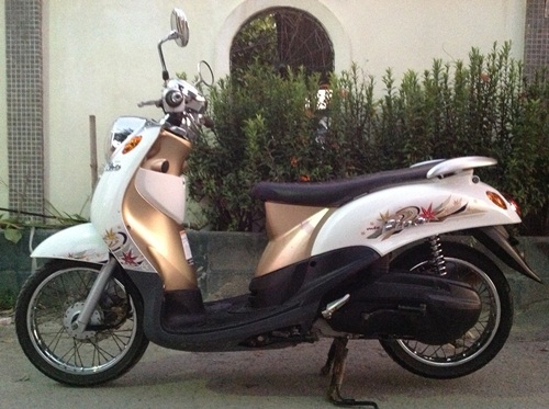 ขายfino สีน้ำตาล ขาวปี2553