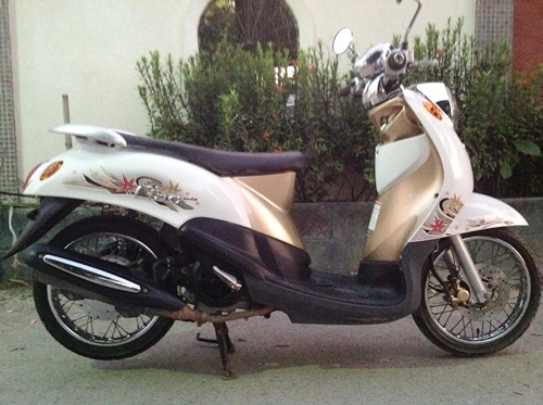 ขายfino สีน้ำตาล ขาวปี2553