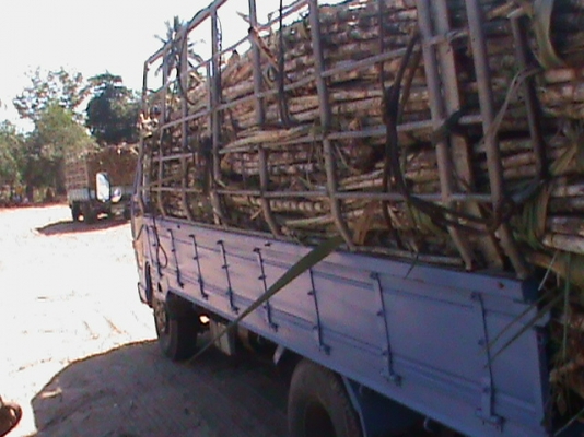 ขายด่วนรถ6ล้อNKR57L100HPเป็นรถประกอบ