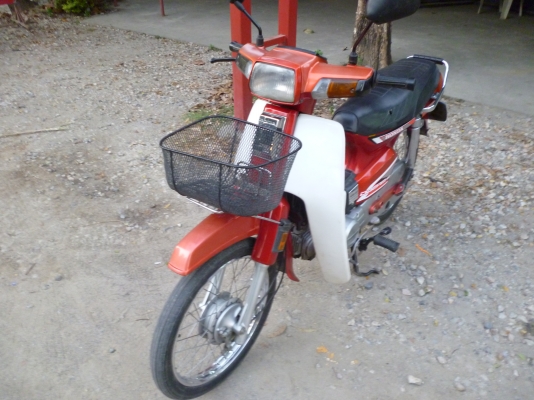 ดรีมคุรุสภา สี แดง-ขาว