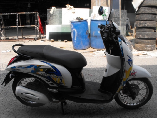 ขาย Honda scoopies i ปี 54