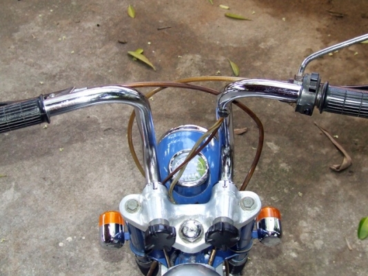 มังกี้หลังแข็งญี่ปุ่น.สวยๆเดิมๆ...มือ1เมืองไทย