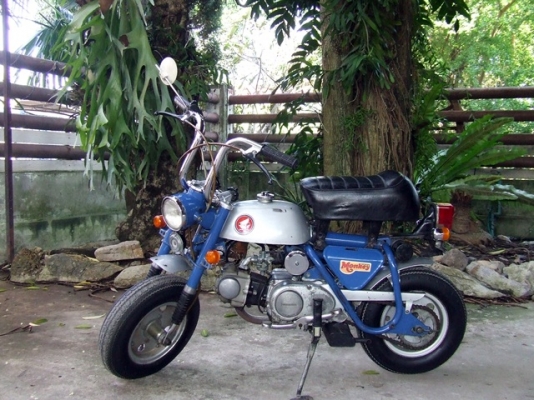 มังกี้หลังแข็งญี่ปุ่น.สวยๆเดิมๆ...มือ1เมืองไทย