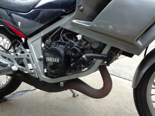 ขาย TZR ขาย TZR