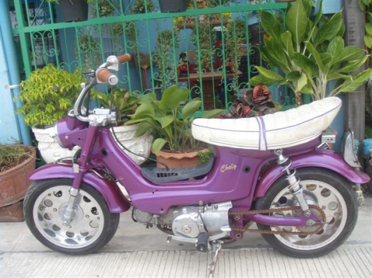 ขาย Chaly เครื่อง Nice แต่งสภาพดีราคา 18000 บาทครับ