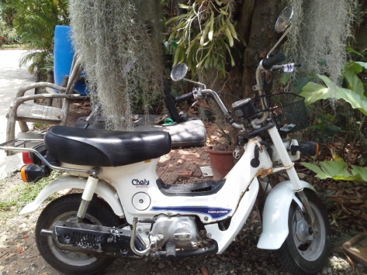 ขาย ชาลีออโต้ 2 คัน สภาพเดิม