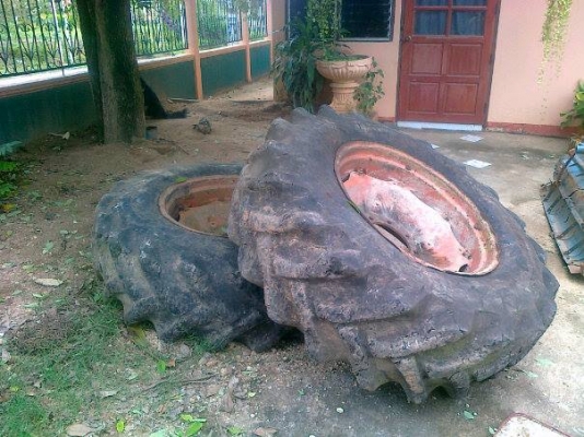 ขายรถไถ ดอยซ์ 6806 เอกสารใบอินวอย