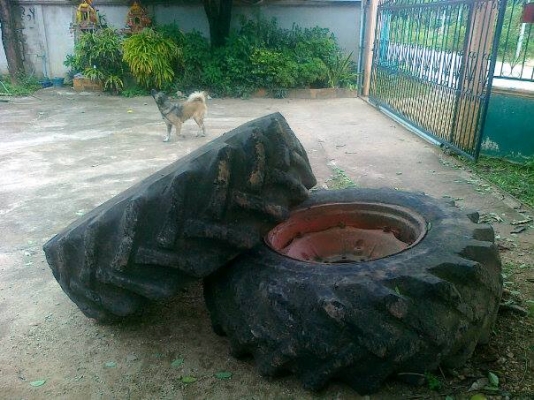 ขายรถไถ ดอยซ์ 6806 เอกสารใบอินวอย