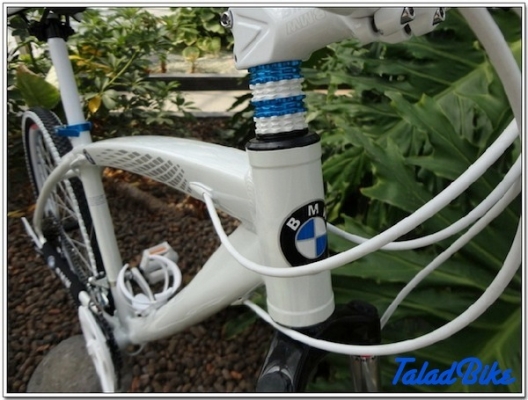 จักรยานเสือภูเขา BMW-770 เฟรมโค้งซ่อนสาย ดิสก์เบรค Shimano 21 speed