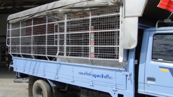 ISUZU NKR110แรง รถห้างแท้ ดาวน์45000ผ่อน11000/36เดือน